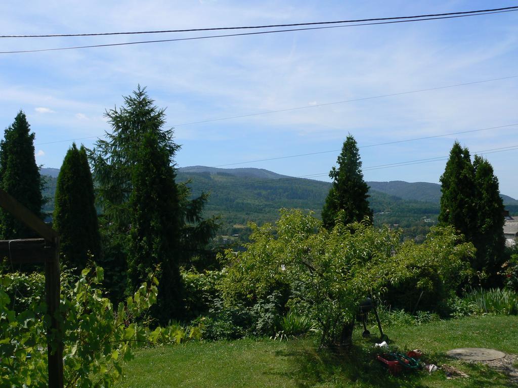 Noclegi W Ksiegarni Bielsko-Biała Exterior foto